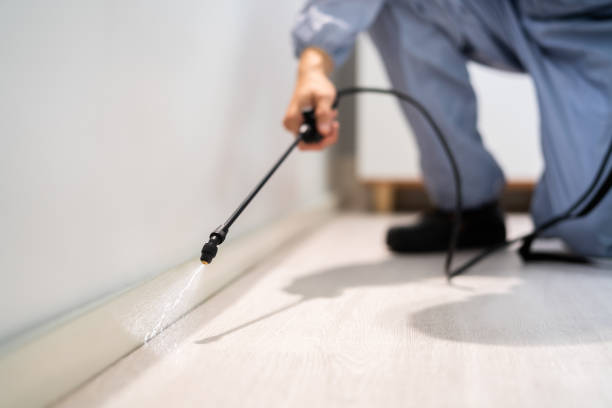 Rodent Entry Point Assessment in Amboy